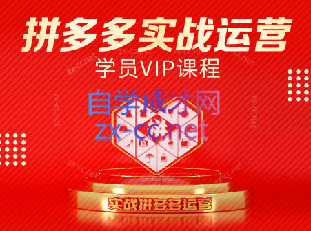 推易电商·拼多多实战运营课(更新2025月)-琴书聊项目