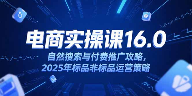 淘宝电商运营课16.0，自然搜索与付费推广攻略，2025年标品非标品运营策略-琴书聊项目