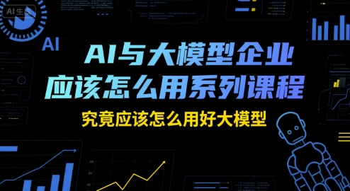 AI与大模型企业应该怎么用系列课程，究竟应该怎么用好大模型-琴书聊项目