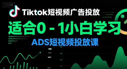 Tiktok短视频广告投放，适合0-1小白学习ADS短视频投放课-琴书聊项目