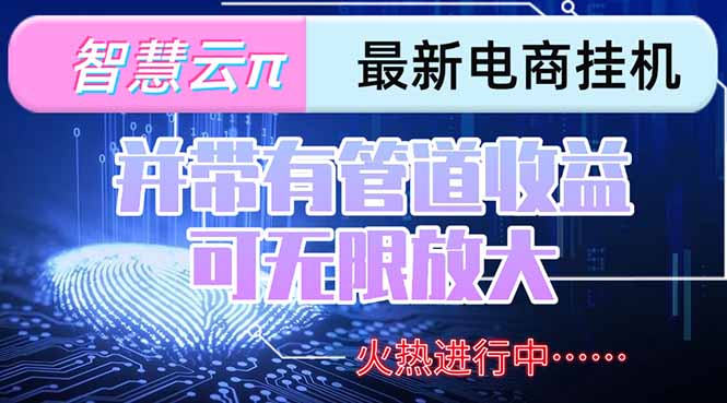智慧云π电脑挂机单机每天收益300—500+ 并带有团队管道收益 可无限放大-琴书聊项目
