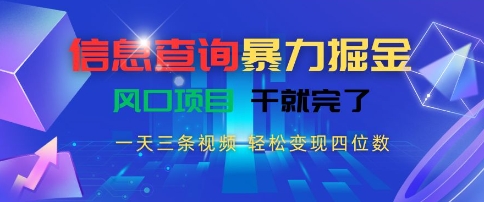 信息查询暴力掘金，一天三条视频，轻松变现四位数，风口项目干就完了【揭秘】-琴书聊项目