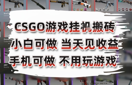 CSGO游戏挂G搬砖，小白纯手机即可操作，不用电脑打游戏，日入3张+，副业网创项目【揭秘】-琴书聊项目