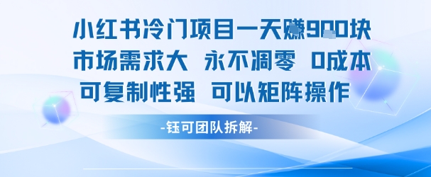 小红书冷门项目一天收益9张，市场需求大，0成本，可复制性强可以矩阵操作-琴书聊项目