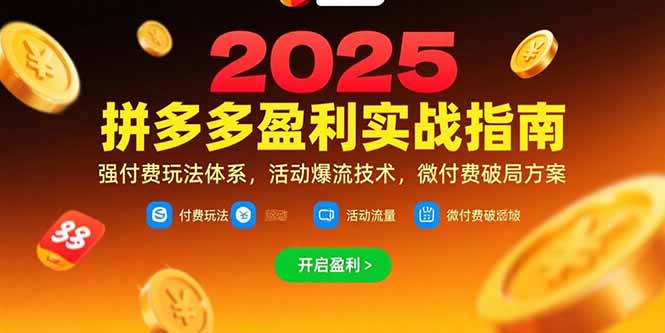 拼多多盈利实战指南，强付费玩法，活动爆流技术，微付费破局方案(更新7月-琴书聊项目