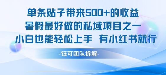 单条贴子带来5张的收益，暑假最好做的私域项目之一，小白也能轻松上手，有小红书就行-琴书聊项目