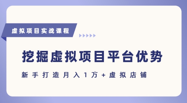 抓住虚拟项目各平台优势，新手轻松月入1W+(给出具体建议)-琴书聊项目