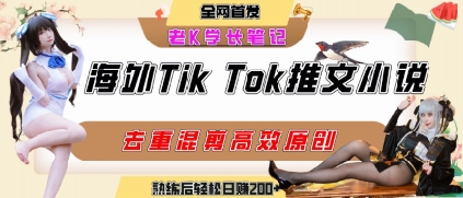 海外tiktok小说推文暴力项目，高停留率，高转化率，上手后一天搞顿饭钱不是问题-琴书聊项目