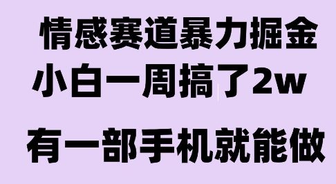 情感暴力掘金项目，新人操作一周挣了2W，长期稳定小白可做【揭秘】-琴书聊项目