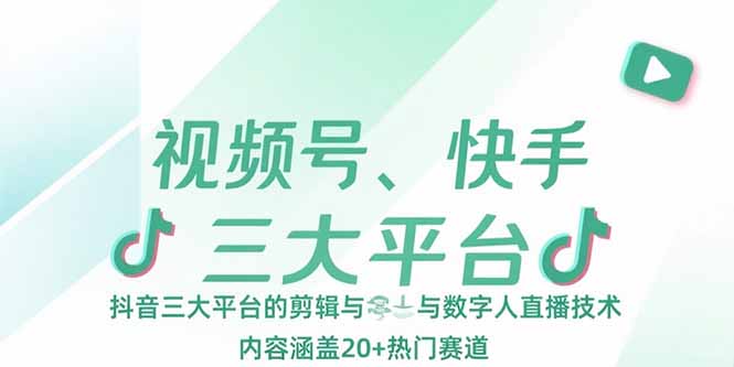 视频号、快手、抖音三大平台的剪辑与数字人直播技术，内容涵盖20+热门赛道-琴书聊项目