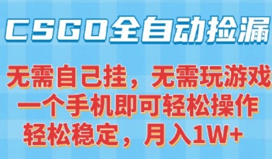 CSGO自动捡漏项目，最新独家玩法，一个手机可操作，新手小白轻松月入1W+，操作简单易上手【揭秘】-琴书聊项目