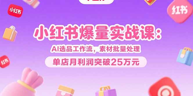 小红书爆量实战课：AI选品工作流，素材批量处理，单店月利润突破25万元-琴书聊项目