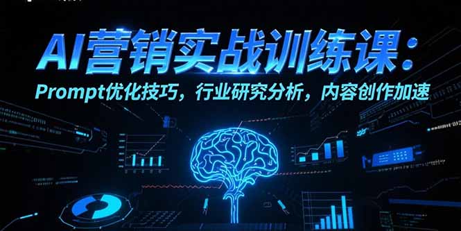 AI营销实战训练课：Prompt优化技巧，行业研究分析，内容创作加速-琴书聊项目