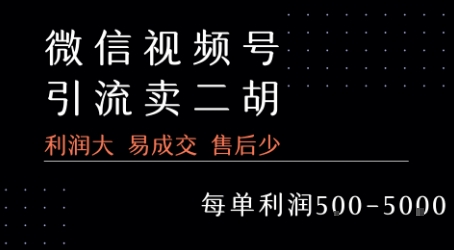 视频号卖二胡教程，利润大 易成交 售后少，一单利润5张+-琴书聊项目