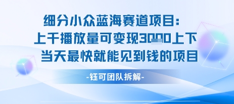 小众蓝海赛道项目：当天变现1k+适合新手操作 +适合长期玩-琴书聊项目