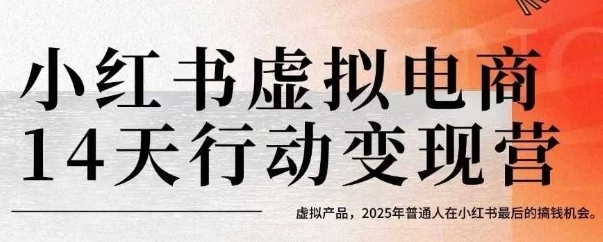 小红书虚拟电商14天变现训练营，虚拟产品，2025年普通人在小红书最后的搞钱机会-琴书聊项目