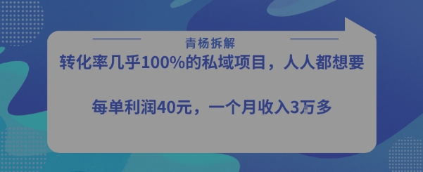 转化率最高的私域项目，每单利润40-50米，月入过1w-琴书聊项目