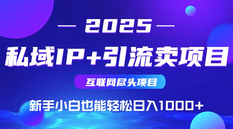 2025网创尽头项目，私域IP+引流，新手小白也能在家日入1000+-琴书聊项目