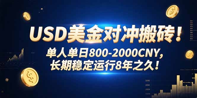 USD美金对冲搬砖!单人单日800-2000CNY，长期稳定运行8年之久!-琴书聊项目