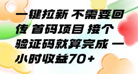 一键拉新 不需要回传 首码项目 接个验证码就算完成 一小时收益70+【揭秘】-琴书聊项目