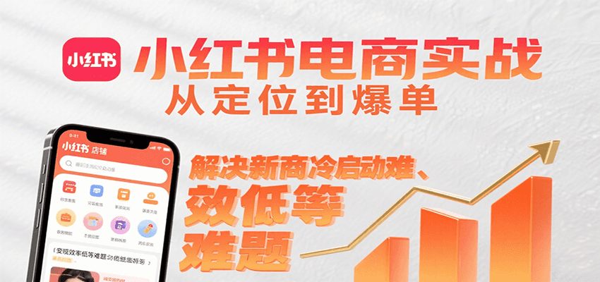 小红书电商实战，从定位到爆单解决新商冷启动难、变现效率低等难题-琴书聊项目