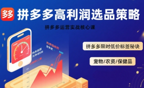 拼多多选品暴利技术实战课，拼多多高利润选品策略，拼多多限时低价标签秘诀-琴书聊项目