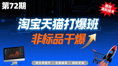 淘宝天猫打爆班原创高阶技术第72期，非标品干爆-琴书聊项目