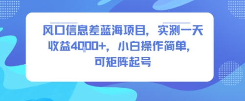 风口信息差蓝海项目，实测一天收益4k+，小白操作简单，可矩阵起号-琴书聊项目