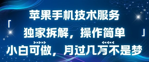 苹果手机技术服务，独家拆解，操作简单，小白可做，月过1W不是梦-琴书聊项目