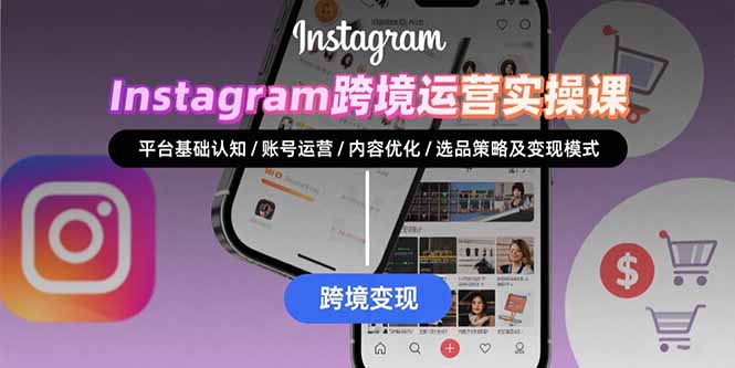 Instagram跨境运营实战：平台认知/账号运营/内容优化/选品策略及变现模式-琴书聊项目