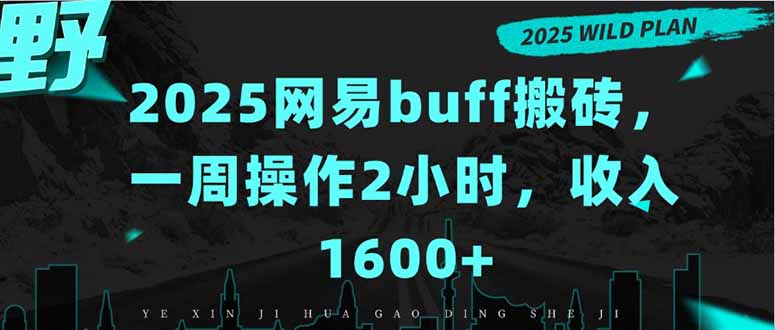 2025网易buff搬砖，一周操作2小时，收入1600+-琴书聊项目