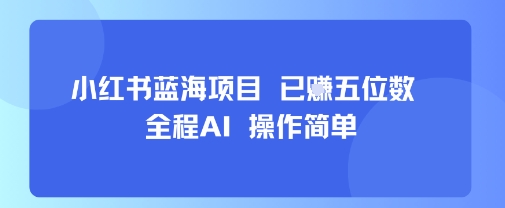 小红书蓝海项目，全程AI，操作简单，已挣五位数-琴书聊项目