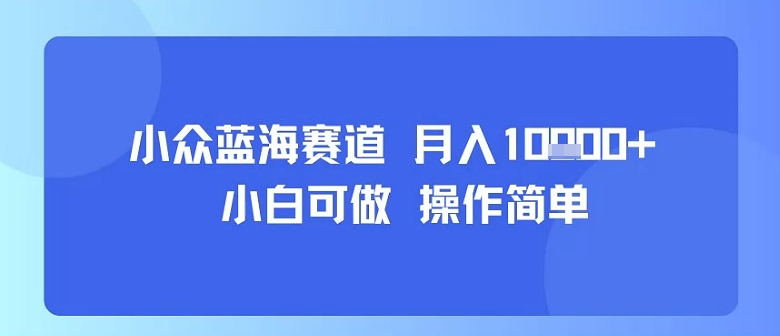小众蓝海赛道，小白可做，操作简单，每天30分钟，月入1W+-琴书聊项目