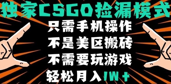 CSGO自动捡漏项目，最新独家玩法，不是美区搬砖，不需要了解和玩游戏，新手小白轻松月入1W+【揭秘】-琴书聊项目