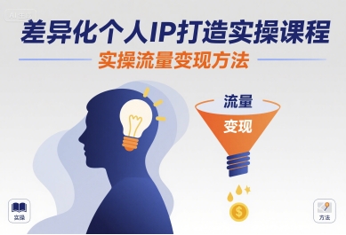 差异化个人IP打造实操课程，实操流量变现方法-琴书聊项目