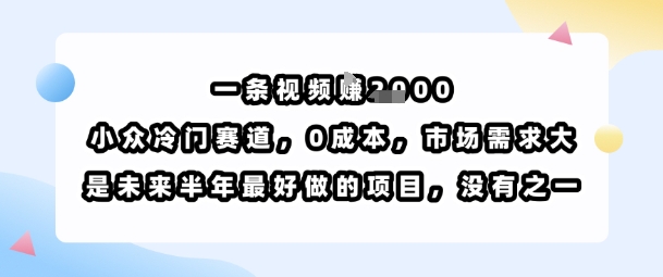 一条视频挣1k，小众冷门赛道，0成本，市场需求大，是未来半年最好做的项目，没有之一-琴书聊项目