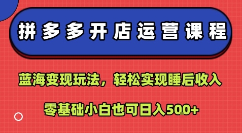拼多多开店运营课程：蓝海变现玩法，轻松实现睡后收入，零基础小白也可日入5张-琴书聊项目