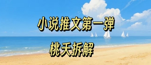 小说推文项目操作全流程第一弹，0粉就能做，门槛低非常适合新手-琴书聊项目