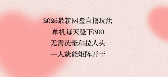 2025最新网盘自撸玩法，单机每天稳下3张，无需流量和拉人头，一个人就可轻松矩阵，全网独一份【揭秘】-琴书聊项目