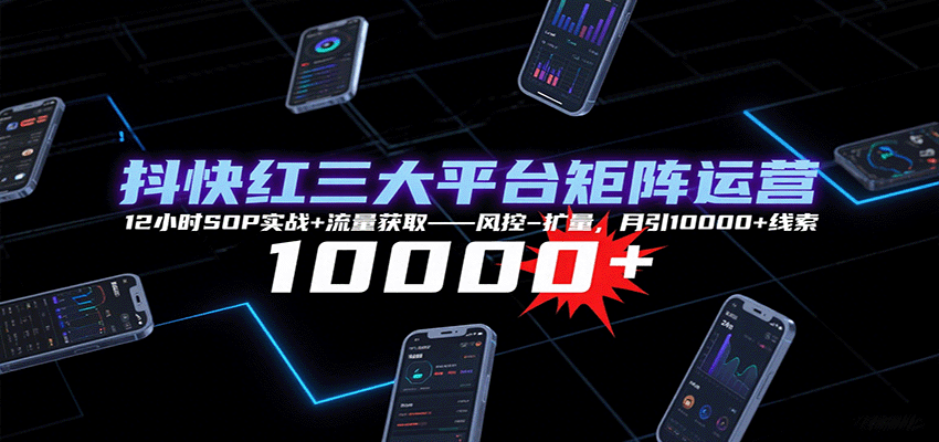 抖快红三大平台矩阵运营，12小时SOP实战+流量获取-风控-扩量，月引10000+线索-琴书聊项目