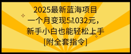 2025最新蓝海项目一个月变现1w+新手小白也能轻松上手【附全套指令】-琴书聊项目