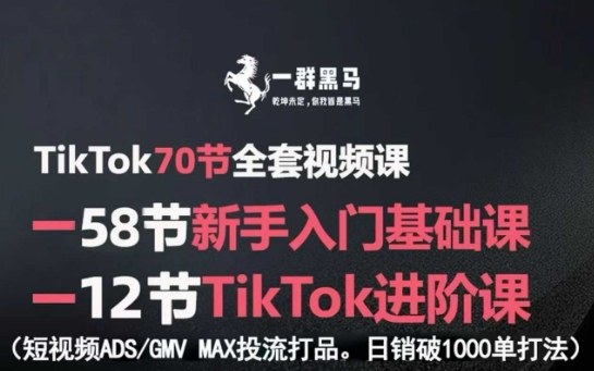 TikTok全套视频课，新手入门+进阶课，短视频ADS-GMV MAX投流打品，日销破1000单打法-琴书聊项目