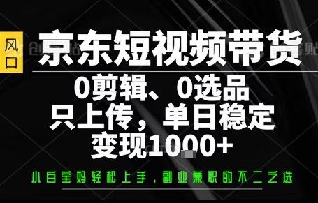 你出账号，我来运营，保底日入1k+，开启躺賺模式【揭秘】-琴书聊项目