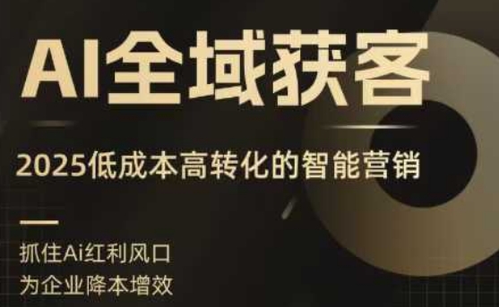 AI全域获客实训营，2025低成本高转化的智能营销，精准找客，高效营销-琴书聊项目