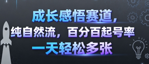 成长感悟赛道，纯自然流，百分百起号率 一天轻松多张-琴书聊项目