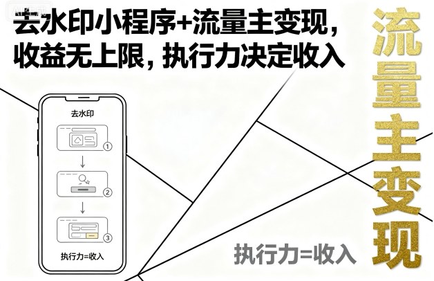 去水印小程序+流量主变现，收益无上限，执行力决定收入-琴书聊项目