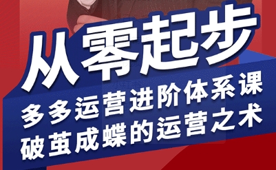 拼多多运营进阶系统课，从零起步，多多运营进阶体系课，破茧成蝶的运营之术(更新9月)-琴书聊项目