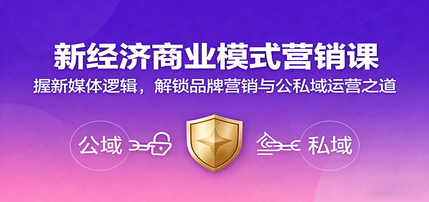 新经济商业模式营销课，握新媒体逻辑，解锁品牌营销与公私域运营之道-琴书聊项目
