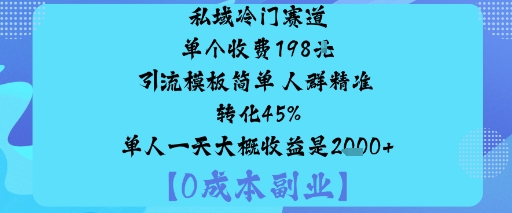私域冷门赛道:单个收费198米引流模板简单人群精准转化45%单人一天大概收益是1k+-琴书聊项目