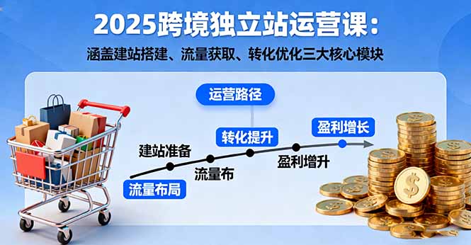 2025跨境独立站运营课：涵盖建站搭建、流量获取、转化优化三大核心模块-琴书聊项目